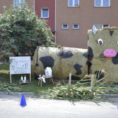 Dozynki2019 (7)